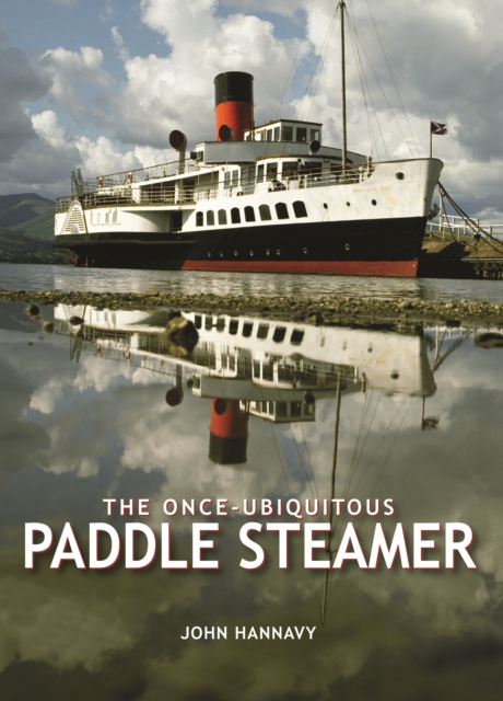 Once-Ubiquitous Paddle Steamer