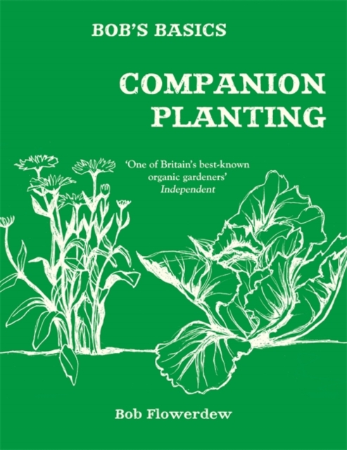 Bob's Basics: Companion Planting