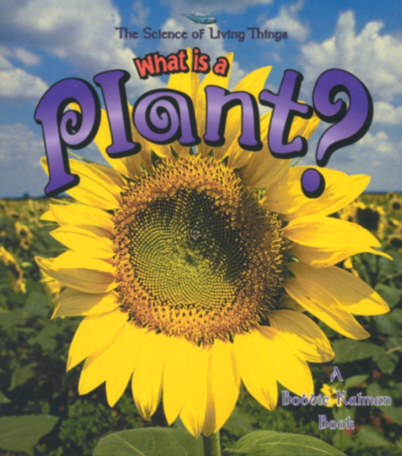 What Is A Plant?