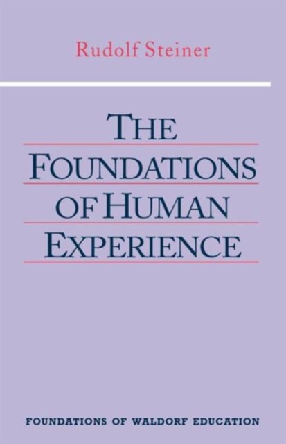 The Foundations of Human Experience