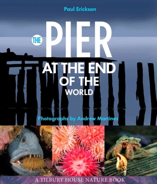 Pier at the End of the World