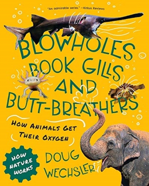 Blowholes, Book Gills, and Butt-Breathers