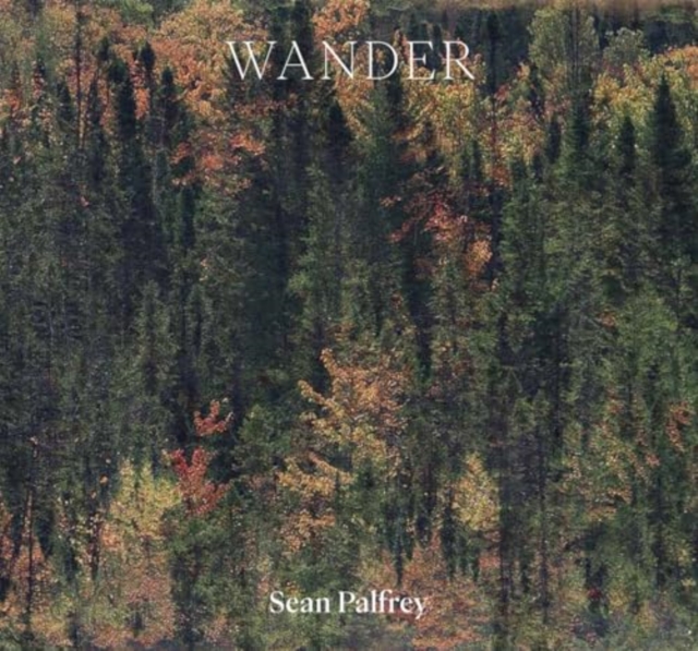 Sean Palfrey: Wander