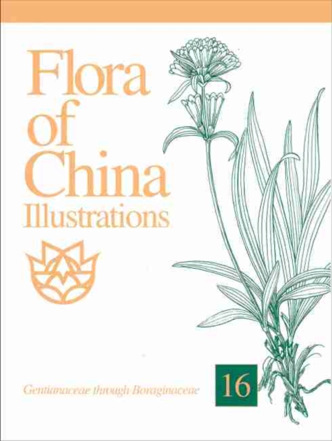 Flora of China Illustrations, Volume 16 - Gentianaceae through Boraginaceae