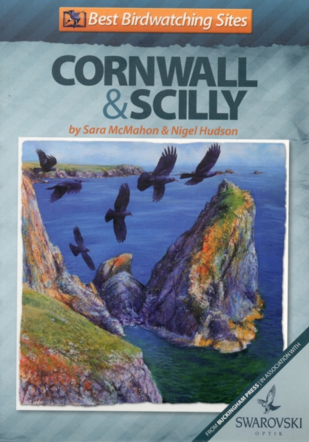 Best Birdwatching Sites in Cornwall and Scilly