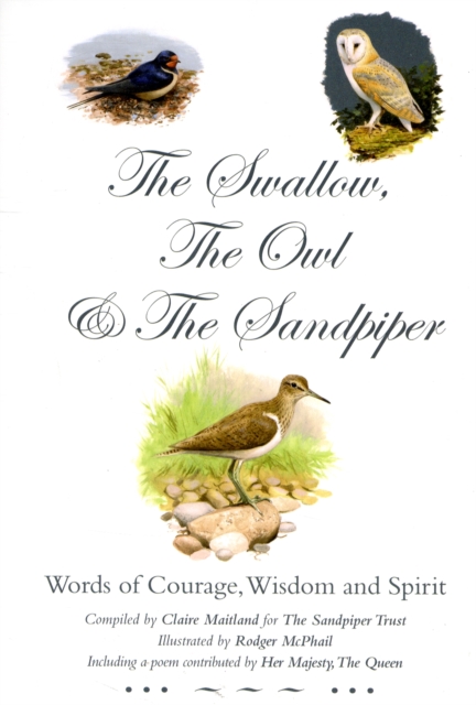 Swallow, the Owl and the Sandpiper