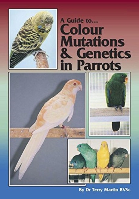 Guide to Colour Mutations and Genetics in Parrots