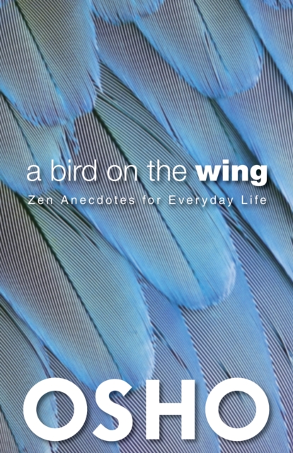 Bird on the Wing