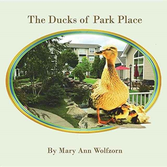 Ducks of Park Place