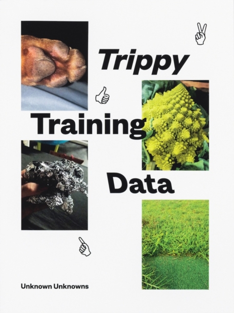 Trippy Training Data