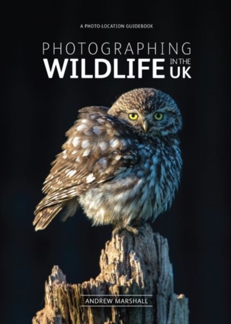 Photographing Wildlife in the UK