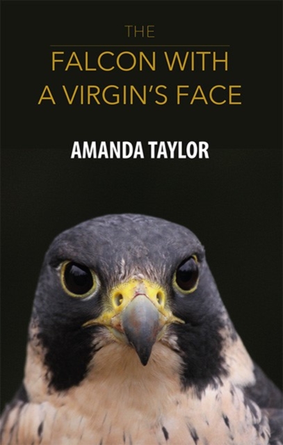 Falcon with a Virgin's Face