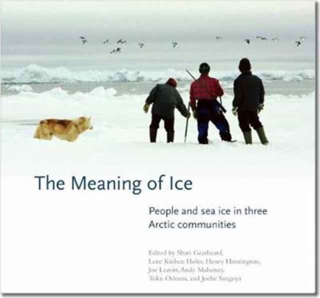 Meaning of Ice