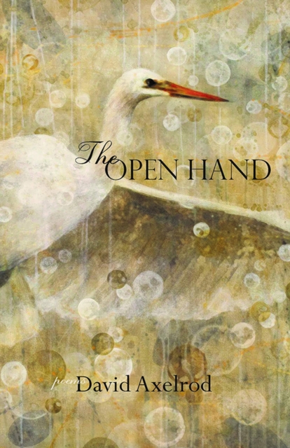 Open Hand