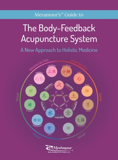 The Body-Feedback Acupuncture System