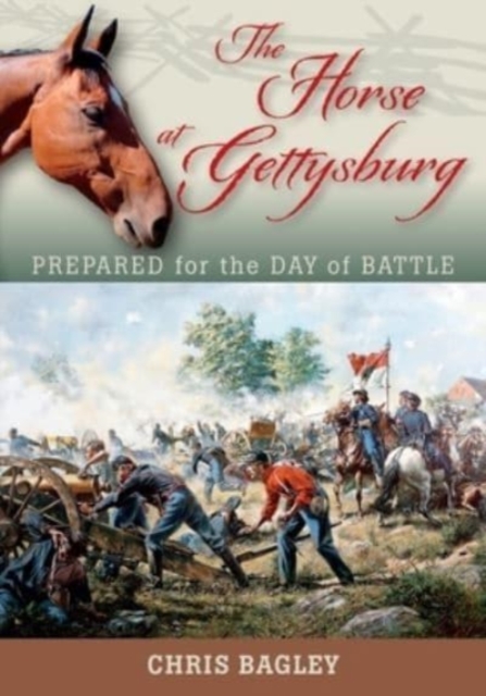 Horse at Gettysburg