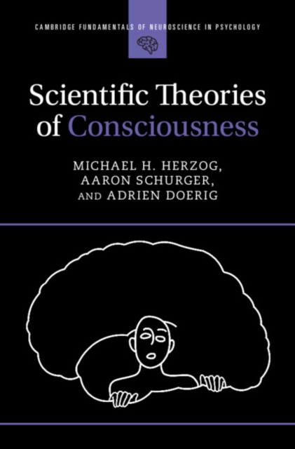 Scientific Theories of Consciousness