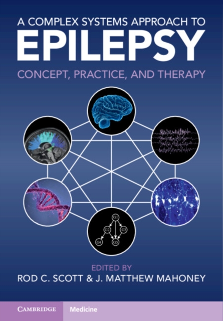 Complex Systems Approach to Epilepsy
