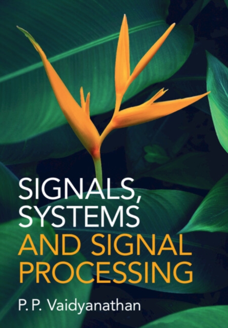 Signals, Systems and Signal Processing