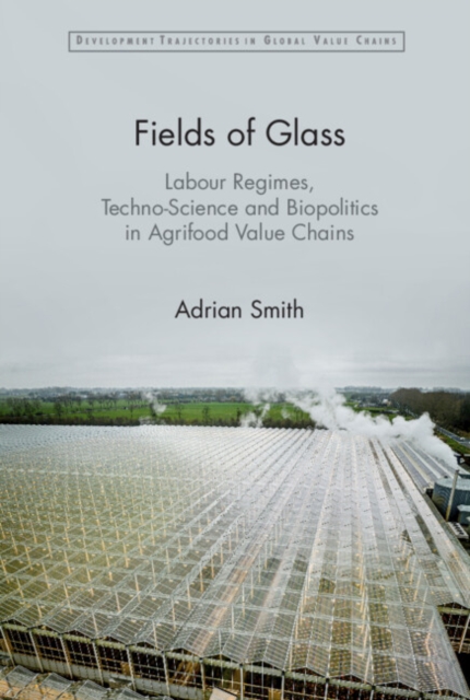 Fields of Glass