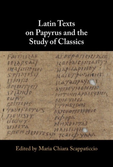 Latin Texts on Papyrus and the Study of Classics
