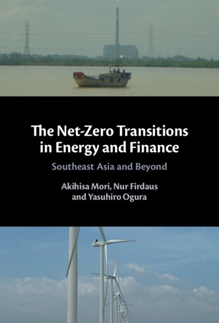 The Net-Zero Transitions in Energy and Finance