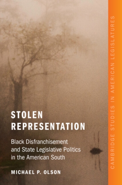 Stolen Representation