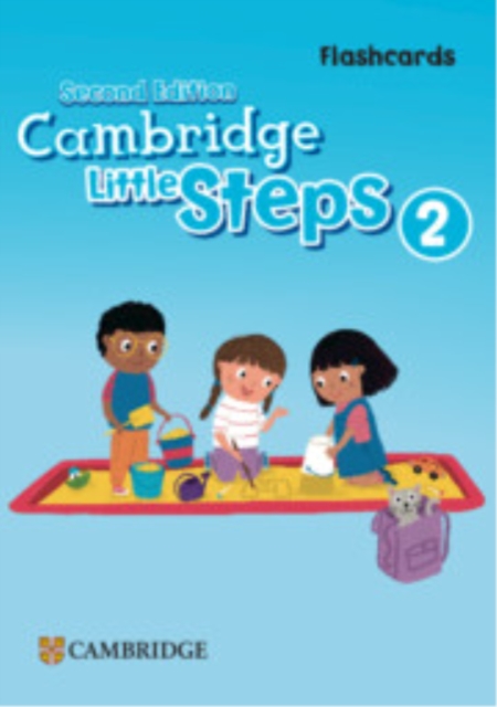 Cambridge Little Steps Level 2 Flashcards