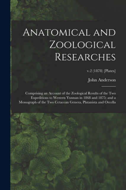 Anatomical and Zoological Researches