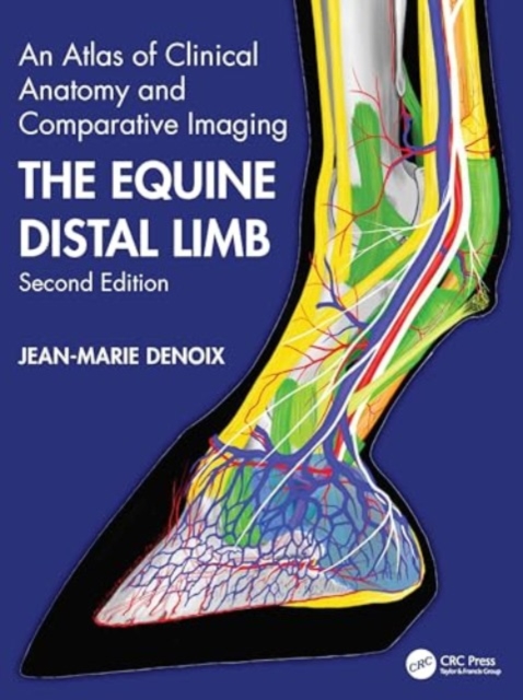 Equine Distal Limb