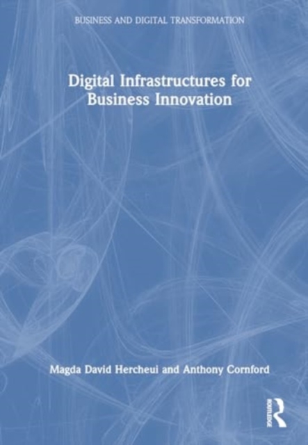 Digital Infrastructures for Business Innovation