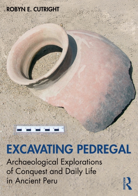 Excavating Pedregal