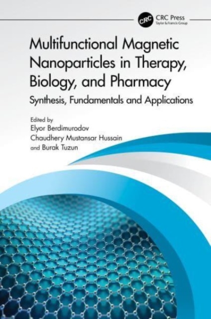 Multifunctional Magnetic Nanoparticles in Therapy, Biology, and Pharmacy