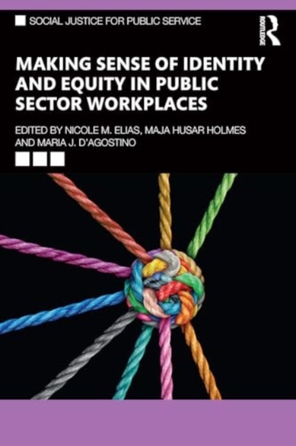 Making Sense of Identity and Equity in Public Sector Workplaces