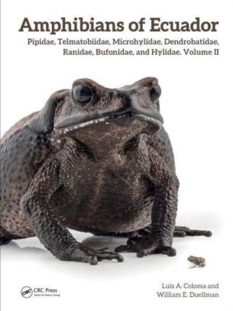 Amphibians of Ecuador