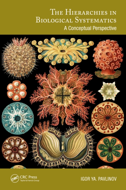 The Hierarchies in Biological Systematics