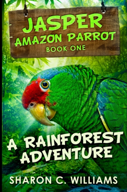 Rainforest Adventure