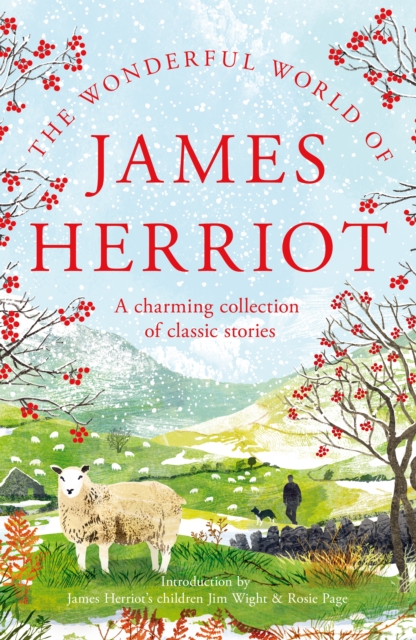 Wonderful World of James Herriot