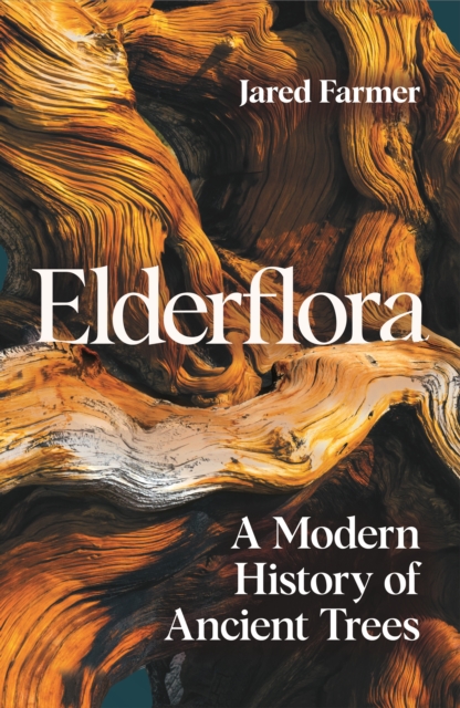 Elderflora