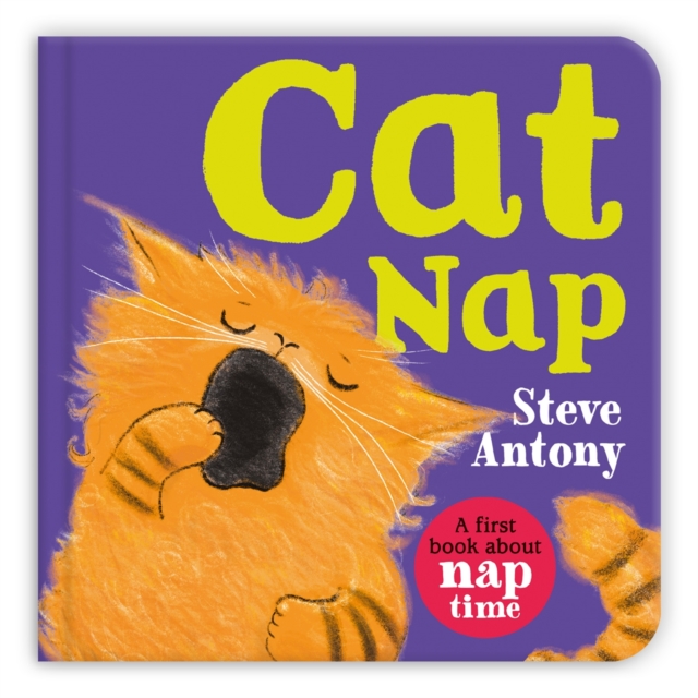 Cat Nap