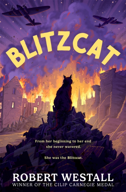 Blitzcat