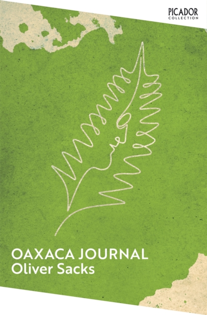 Oaxaca Journal