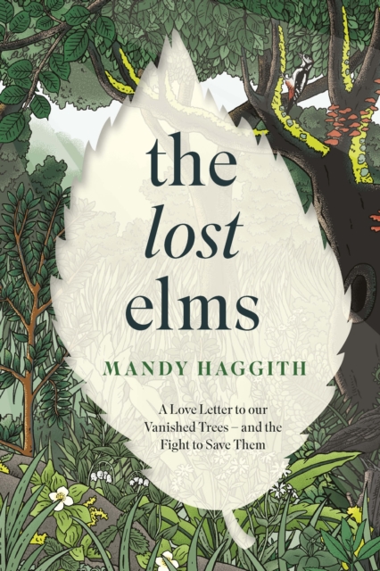 Lost Elms