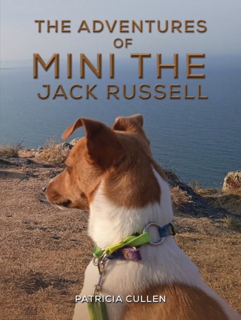 Adventures of Mini the Jack Russell