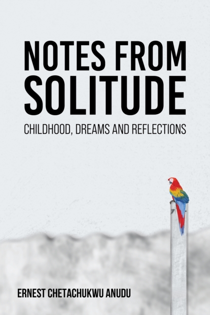 Notes from Solitude