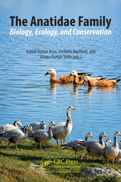 The Anatidae Family