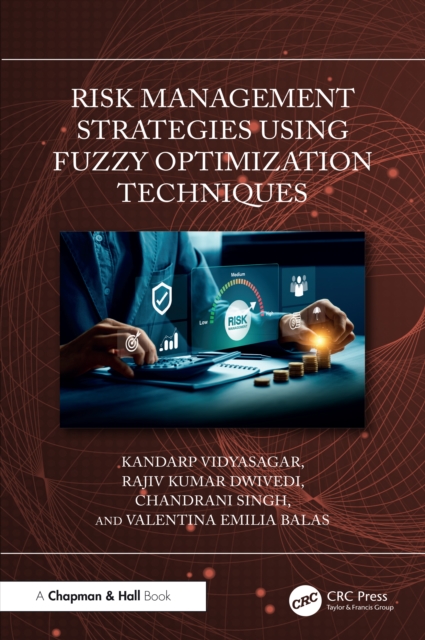 Risk Management Strategies Using Fuzzy Optimization Techniques