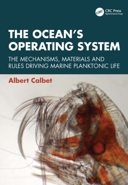 The Ocean’s Operating System