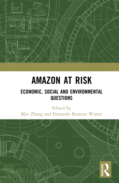Amazon at Risk