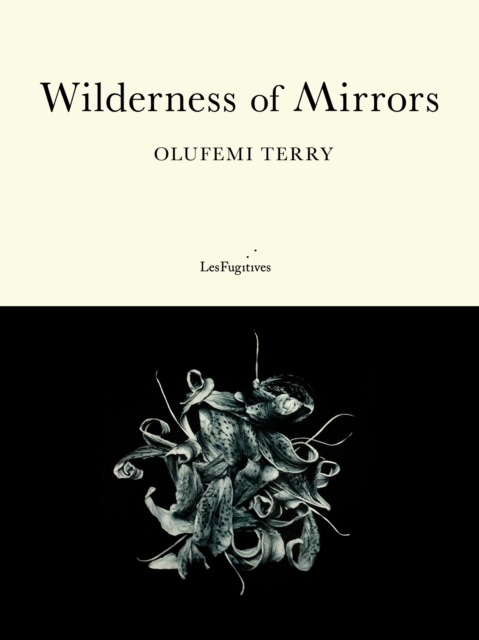 Wilderness of Mirrors